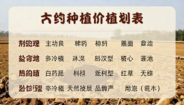 农产品加工中查询效率影响结果的原因分析